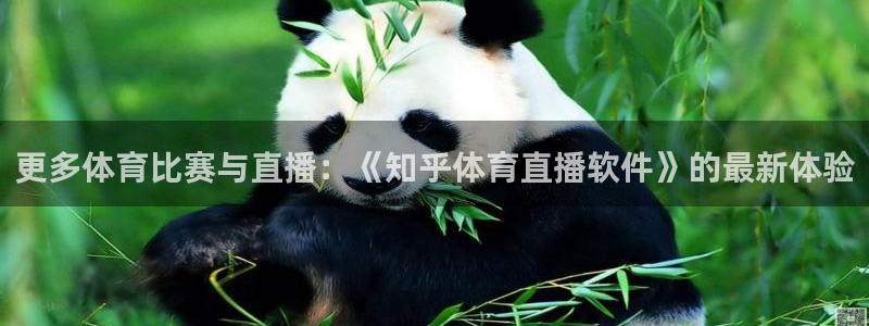178在线体育直播：更多体育比赛与直播：《知乎体育直播软件》的最新体验