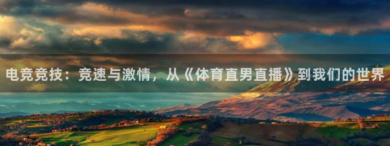 178足球直播360高清直播：电竞竞技：竞速与激情，从《体育直男直播》到我们的世界