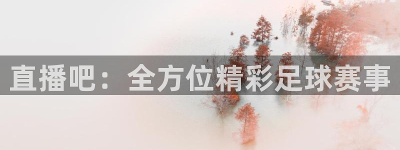 nba178篮球直播：直播吧：全方位精彩足球赛事