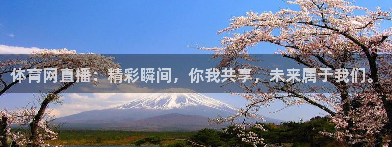 178篮球免费直播nba：体育网直播：精彩瞬间，你我共享，未来属于我们。