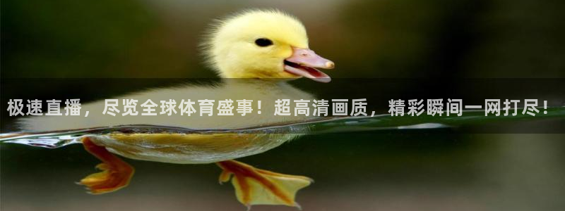 178篮球直播平台：极速直播，尽览全球体育盛事！超高清画质，精彩瞬间一网打尽！