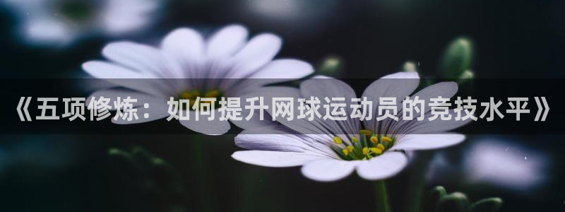 178篮球直播体育直播