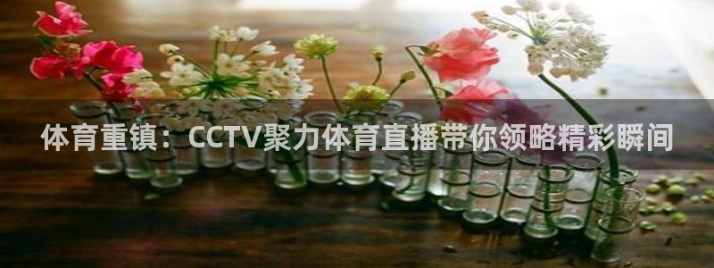 nba 178直播
