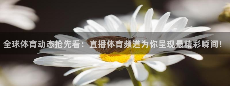 178比赛免费直播